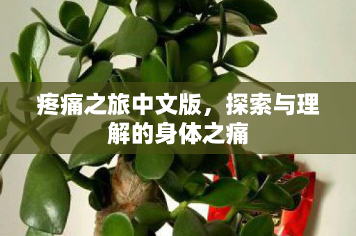 探索与理解的身体之痛图片