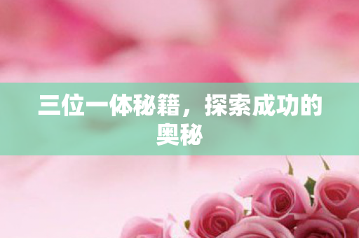 探索成功的奥秘图片