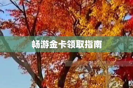 畅游金卡领取指南图片