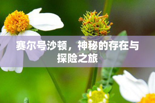 神秘的存在与探险之旅图片