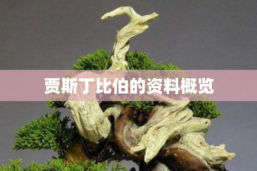 贾斯丁比伯的资料概览图片