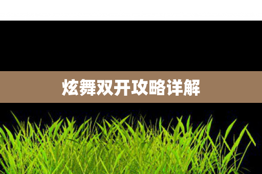 炫舞双开攻略详解图片