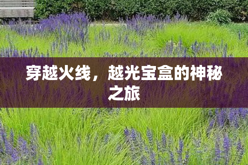 越光宝盒的神秘之旅图片