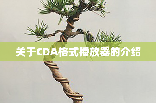 关于CDA格式播放器的介绍图片