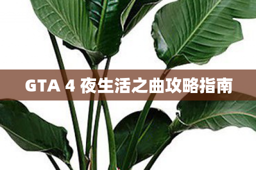 GTA 4 夜生活之曲攻略指南图片