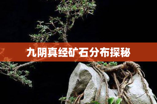 九阴真经矿石分布探秘图片