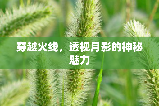 透视月影的神秘魅力图片