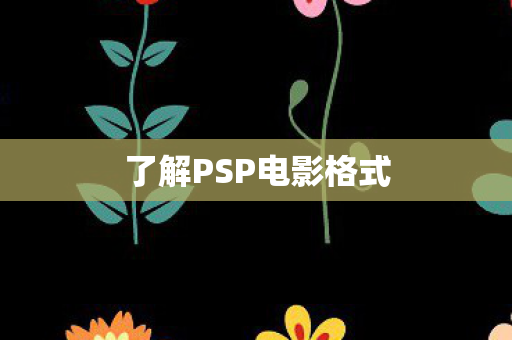 了解PSP电影格式图片