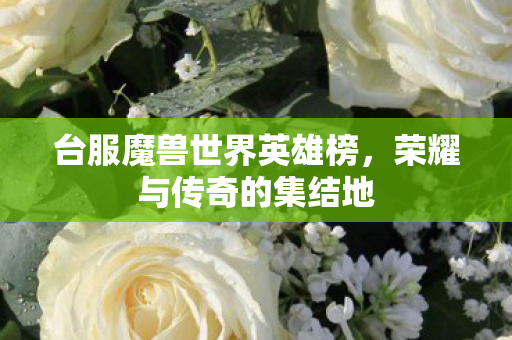 台服魔兽世界英雄榜图片