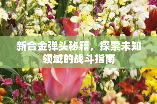 探索未知领域的战斗指南图片