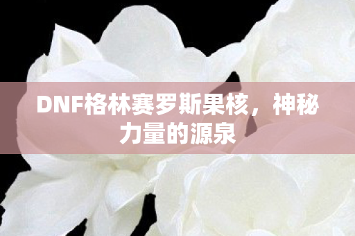 DNF格林赛罗斯果核图片