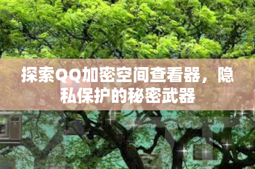 探索QQ加密空间查看器图片