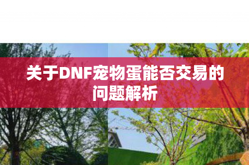 关于DNF宠物蛋能否交易的问题解析图片