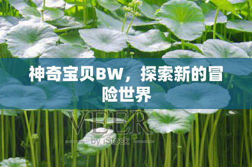 探索新的冒险世界图片