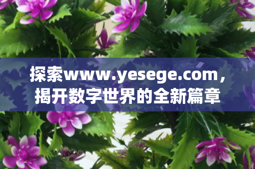 揭开数字世界的全新篇章图片