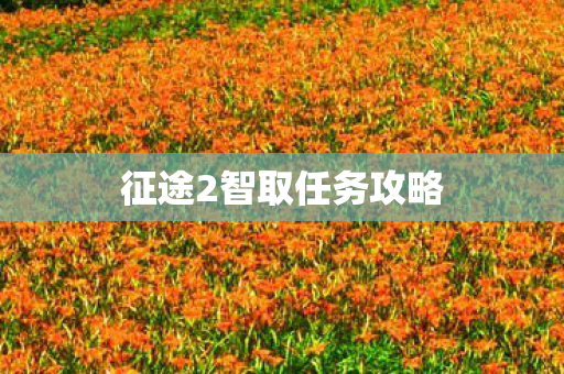 征途2智取任务攻略图片