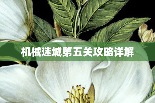 机械迷城第五关攻略详解图片
