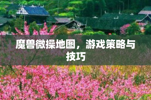 游戏策略与技巧图片