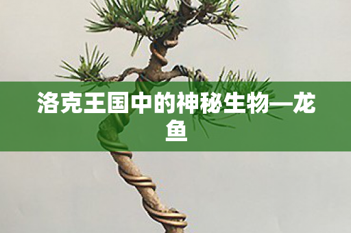 洛克王国中的神秘生物图片