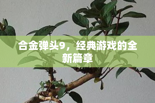 经典游戏的全新篇章图片