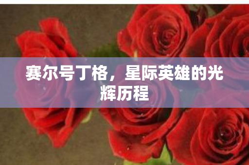 星际英雄的光辉历程图片