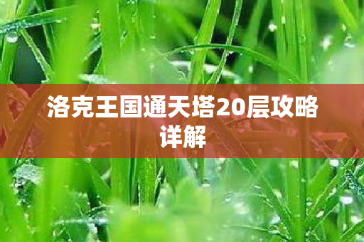 洛克王国通天塔20层攻略详解图片