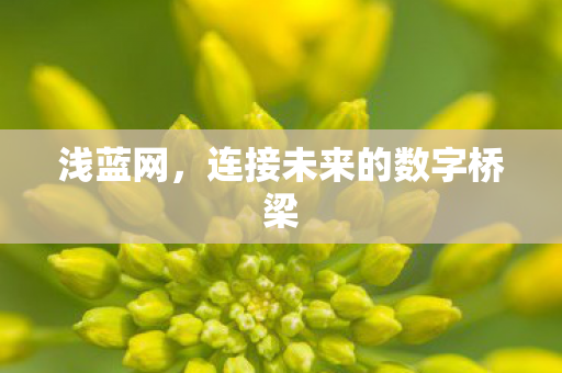 连接未来的数字桥梁图片
