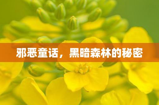 黑暗森林的秘密图片