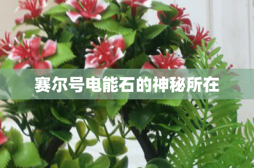 赛尔号电能石的神秘所在图片