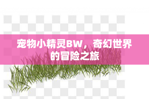 奇幻世界的冒险之旅图片