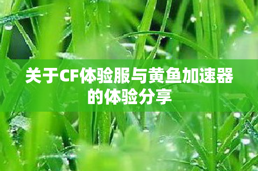 关于CF体验服与黄鱼加速器的体验分享图片