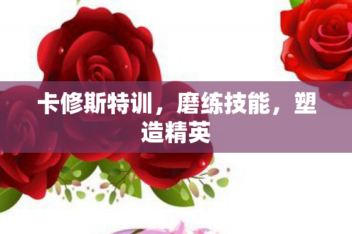 卡修斯特训图片