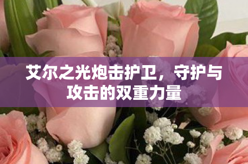 守护与攻击的双重力量图片