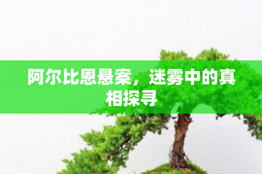 迷雾中的真相探寻图片