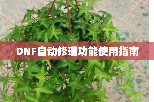 DNF自动修理功能使用指南图片
