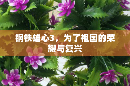 为了祖国的荣耀与复兴图片