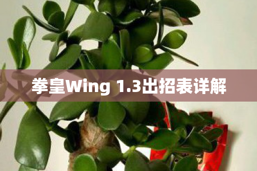 拳皇Wing 1图片