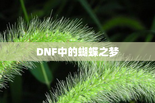 DNF中的蝴蝶之梦图片