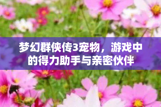 游戏中的得力助手与亲密伙伴图片