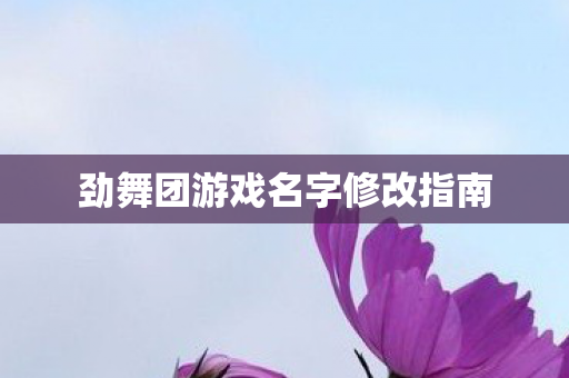 劲舞团游戏名字修改指南图片