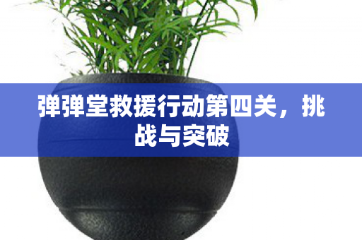 弹弹堂救援行动第四关图片