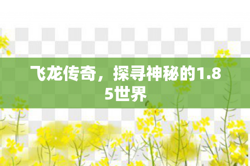 探寻神秘的1图片