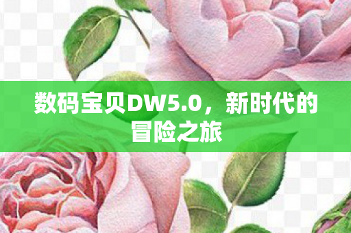 新时代的冒险之旅图片
