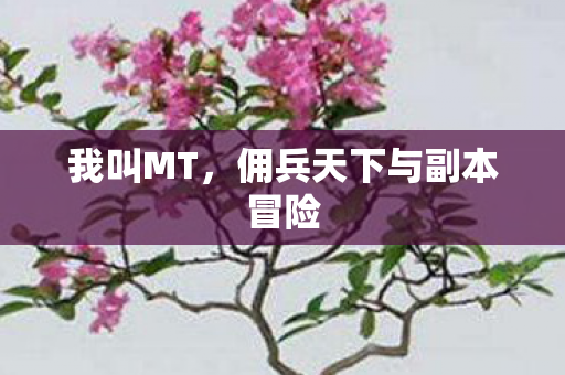佣兵天下与副本冒险图片