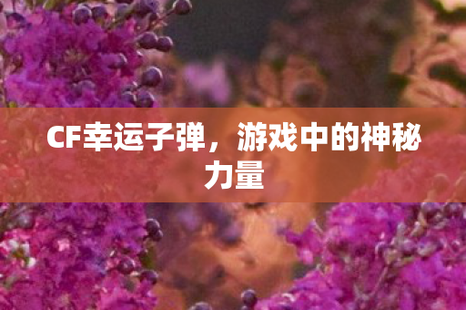 游戏中的神秘力量图片