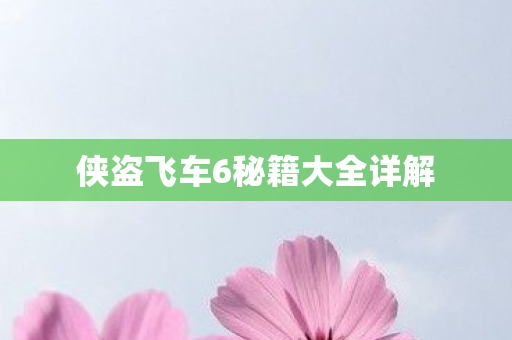 侠盗飞车6秘籍大全详解图片