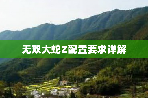 无双大蛇Z配置要求详解图片
