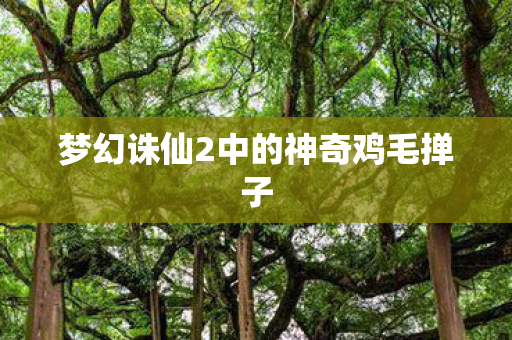 梦幻诛仙2中的神奇鸡毛掸子图片