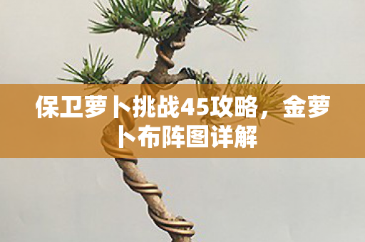 保卫萝卜挑战45攻略图片