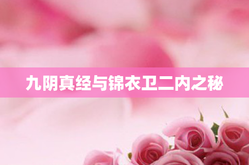 九阴真经与锦衣卫二内之秘图片